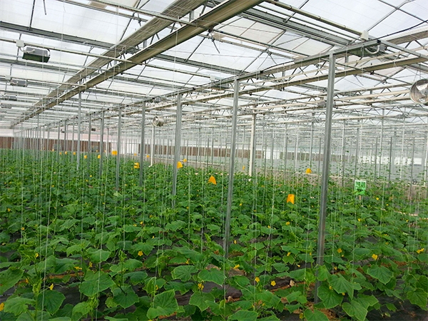 Intelligent wireless coverage in agricultural greenhouses